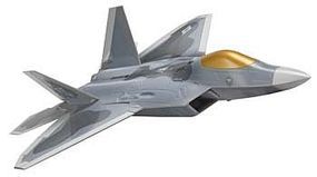F-22 Raptor
