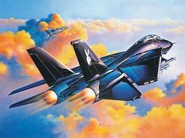 F-14A Black Tomcat