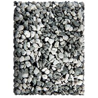 Scenic-Expr #12 LT GRAY COARSE 1 GAL