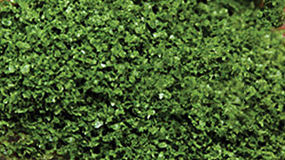 Scenic-Expr SuperLeaf Shaker medium green Model Railroad Ground Cover #6132