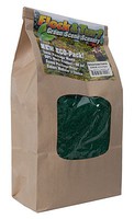 Scenic-Expr F&T Spruce Grn Coars 48oz