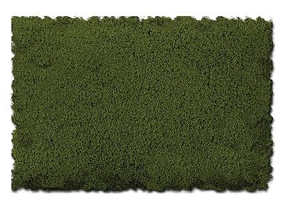 Scenic-Expr Scenic Foams & Ground Textures Fine Burnt Green Model Railroad Ground Cover #812b