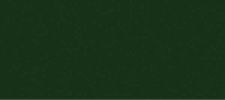 Scalecoat Scalecoat I Railroad Paint 1oz  29.6ml Central Railroad of New Jersey Green