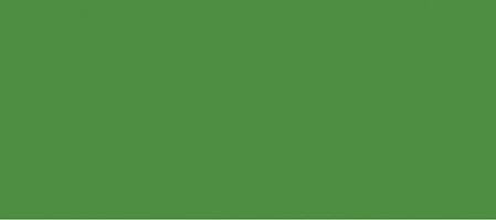 Tru-Color Interior Green Spray 4.5oz Hobby and Model Enamel Paint #4032