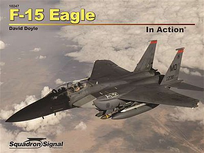 Squadron F-15 Eagle in Action