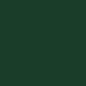 Tru-Color Southern Green 1oz Hobby and Model Enamel Paint #128