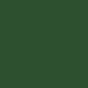 Tru-Color Railroad CP Action Green 1oz Hobby and Model Enamel Paint #23