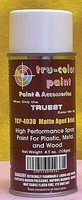 Tru-Color Matte Aged Brick Spray 4.5oz Hobby and Model Enamel Paint #4038