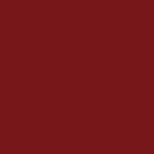 Tru-Color Matte Brick Brown-Red 1oz Hobby and Model Enamel Paint #427