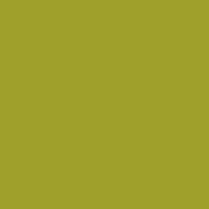 Tru-Color Auto Kandy Lime Green 1oz Hobby and Model Enamel Paint #554