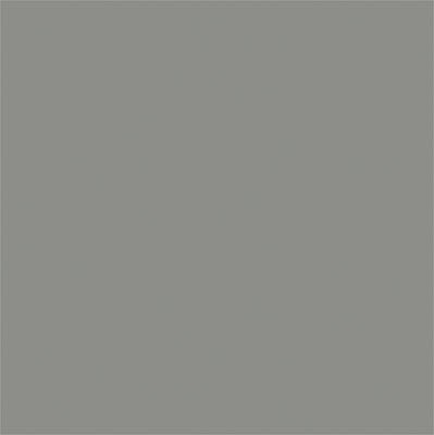 Tru-Color Flat Weathered Gray Wood 1oz Hobby and Model Enamel Paint #855