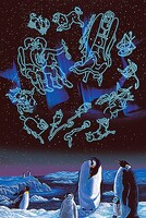 Tomax 1000pc Starry Night