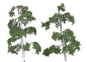 N-Scale-Arch Trees Silver Birch 6/ N-Scale (6)