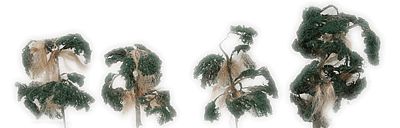 N-Scale-Arch Swamp Thing Cypress 6/ - N-Scale (6)