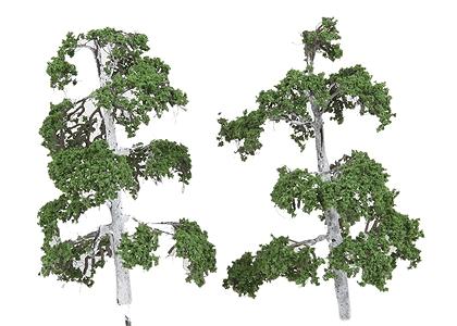 N-Scale-Arch Trees Silver Birch 6/ - Z-Scale (6)