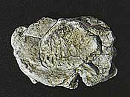Wind Rock Mold