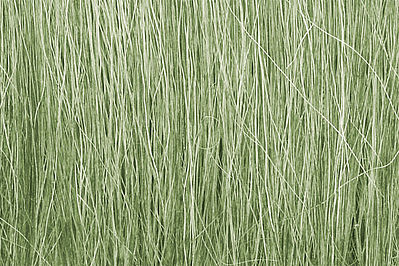 Woodland Field Grass Light Green .28 oz Model Railroad Grass Earth #fg173