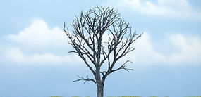 Woodland Premium 4.25'' Dead Maple Tree Model Railroad Tree #tr1614