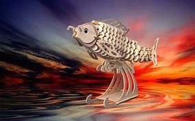 Carp Fish (8.5'' Long)