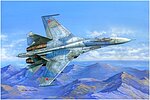 Reviews of HobbyBoss SU-27 Flanker B