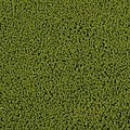 Coarse Blended Green Turf (20 Cu Inch bag)