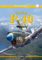 Curtiss P-40 Vol.1 Book