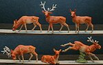 ho scale moose