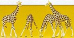 manufacturer image