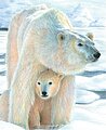 Polar Love (Bear with Cub)(8.75''x11.75'')