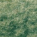 Woodland Scenics T45 Fine Turf Green Grass: Realistic Model Landscape Scenery For Trains & Dioramas (1/48, O Gauge)
