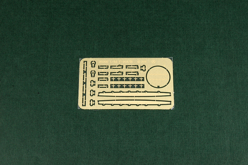 Member Picture