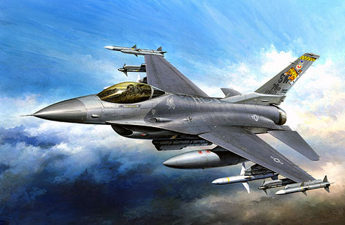 F16CJ Block 50 Fighting Falcon Jet -- Plastic Model Airplane Kit -- 1 ...