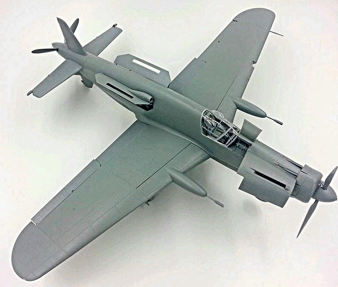 Dornier Do335B2 WWII Luftwaffe Fighter Pictures