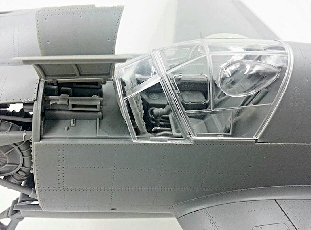 Dornier Do335B2 WWII Luftwaffe Fighter Pictures