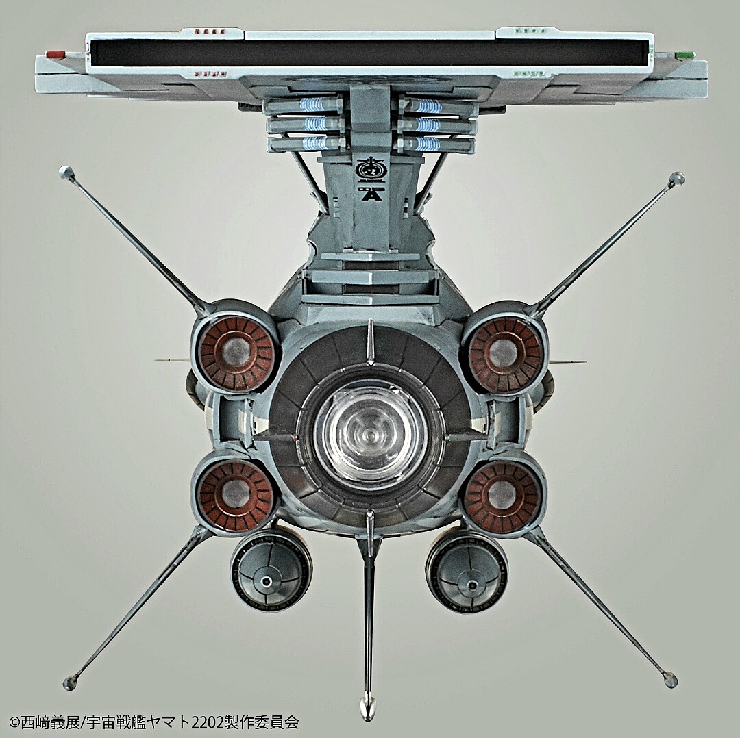 Member Picture