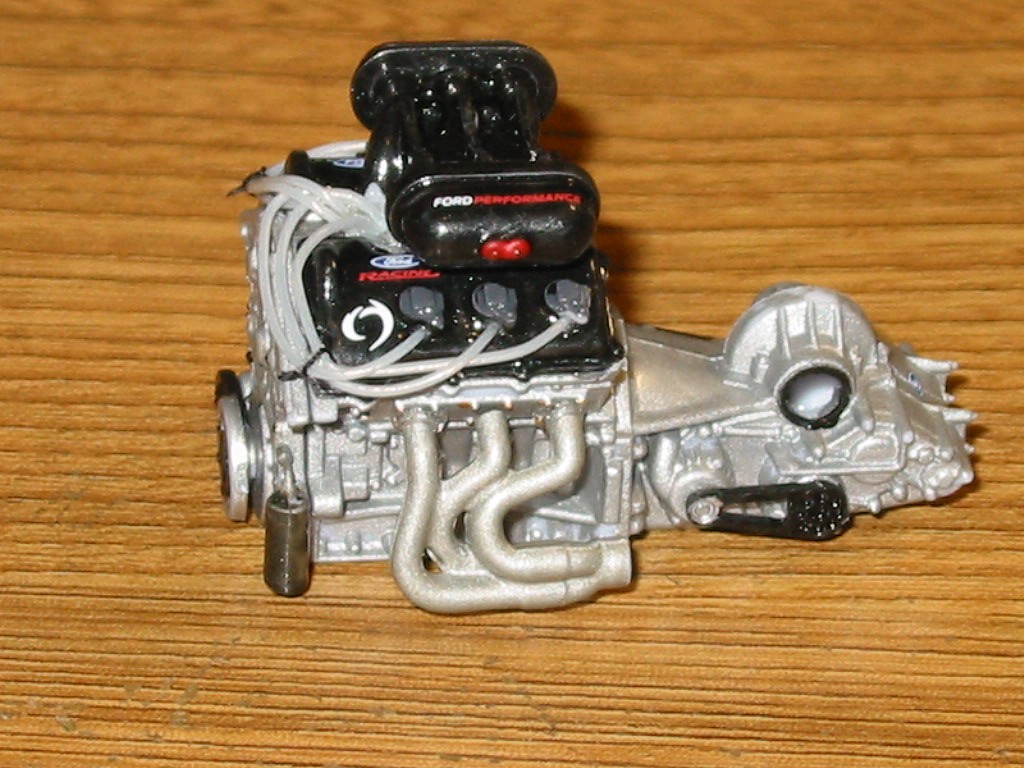 Member Picture