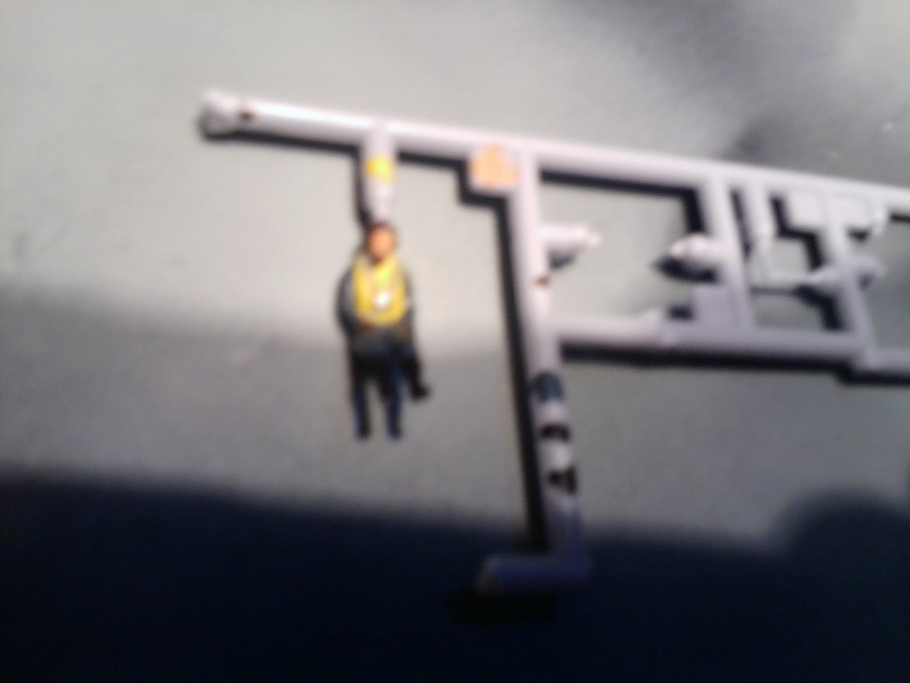 Member Picture