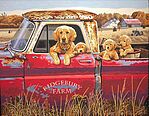 Dimension PaintWorks By Numbers Kit 91525 Golden Ride - Quadro 50x30 Cm Con Cane E Camion Vintage - Colori Acrilici Inclusi - 3