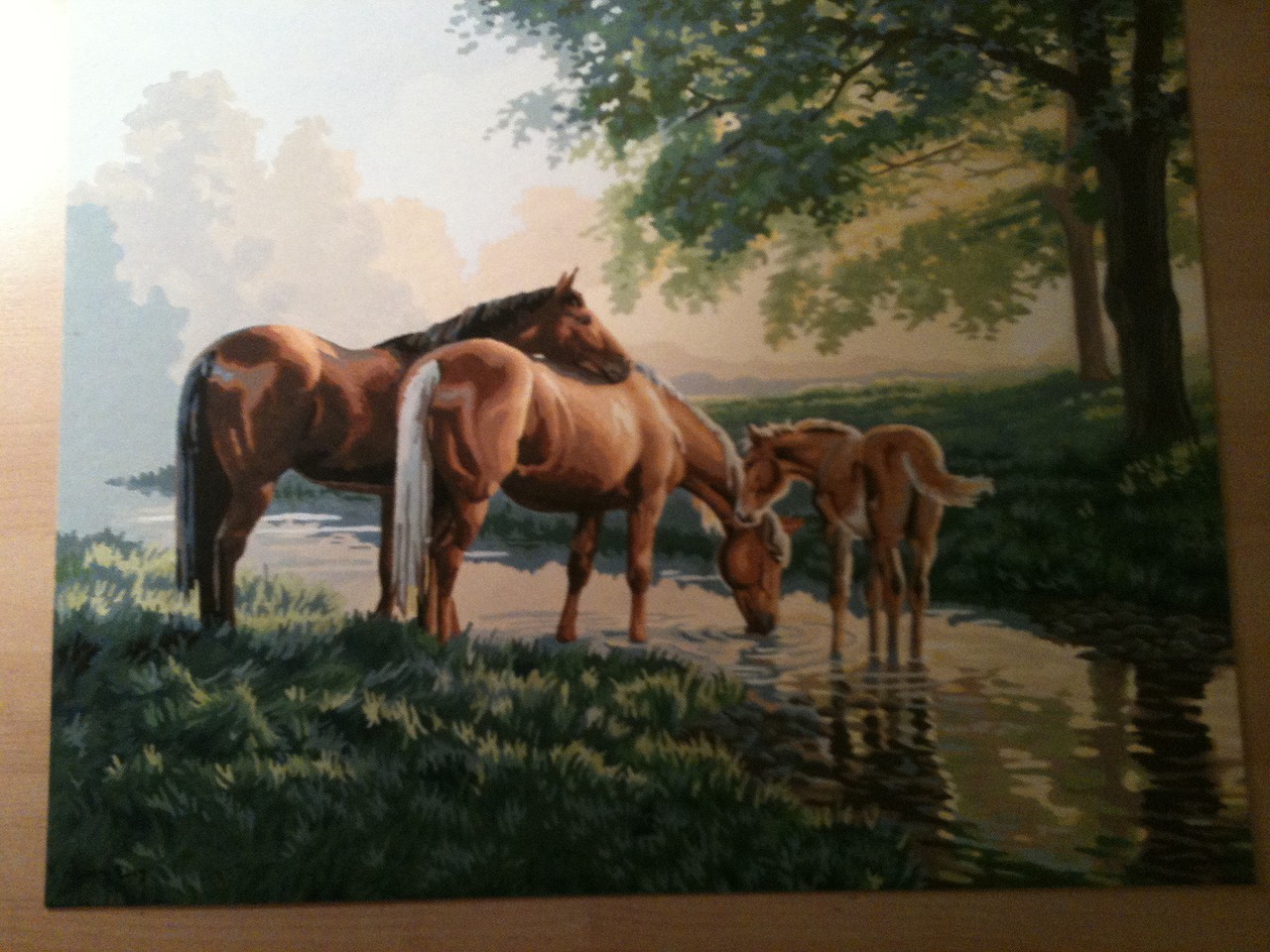 Horses by a Stream -- Paint By Number Kit -- #91159 pictures by ...