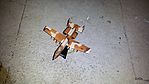 1/140 A-10 Warthog Peanut Scheme
