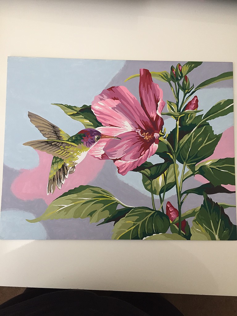 Hibiscus & Hummingbird Paint By Number Kit 91419 pictures by