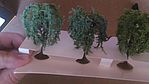 2.25-2.5 Inch Willow Trees (3)