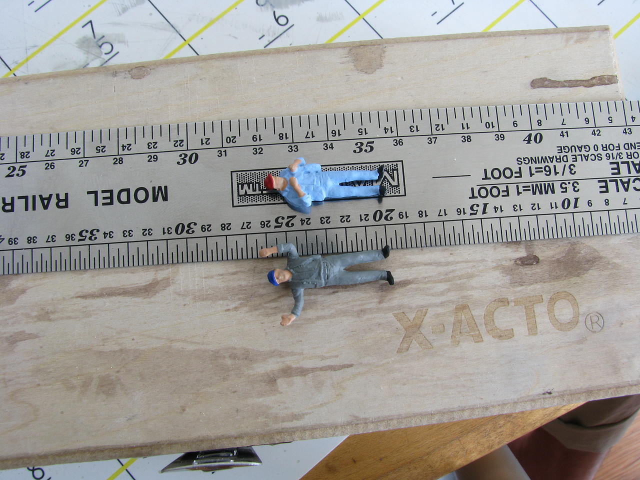 Member Picture