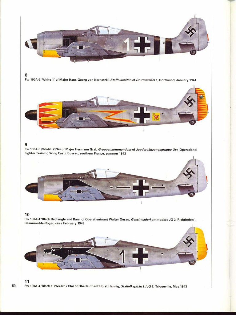 Focke Wulf Fw 190 Aces Of The Western Front Military History Book