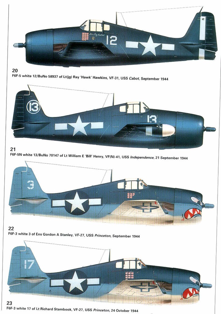 Aircraft of the Aces - Hellcat Aces of WWII -- Military History Book ...