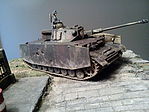 member image