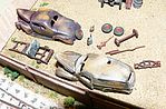 Junk Cars