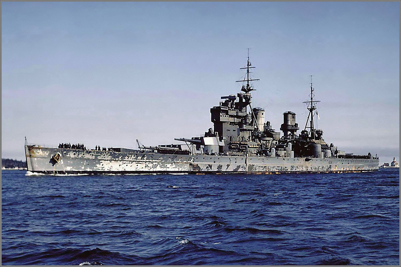 Member Picture