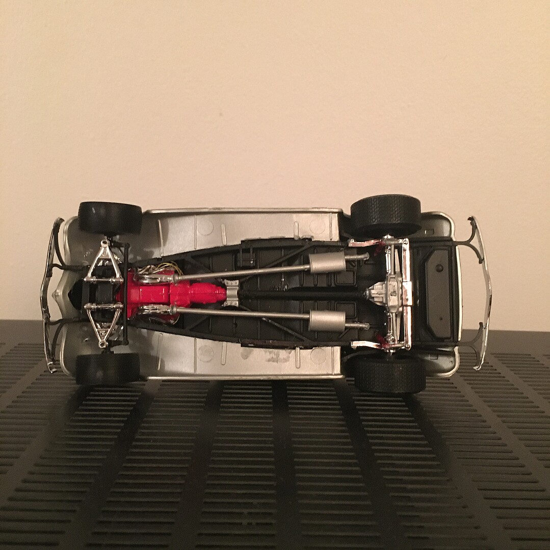 Member Picture
