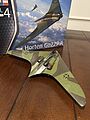 Horten Go229 A Fighter/Bomber Aircraft